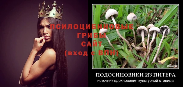 шишки Алзамай