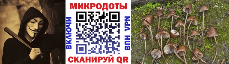 Псилоцибиновые грибы Psilocybine cubensis  Трёхгорный 